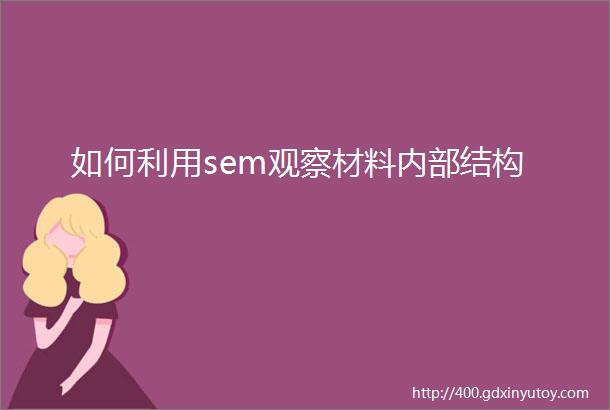 如何利用sem观察材料内部结构